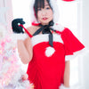 Ruis Tsuji Christmas Bunny Gravure Photoset (Digital)