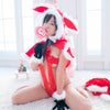 Ruis Tsuji Christmas Bunny Gravure Photoset (Digital)