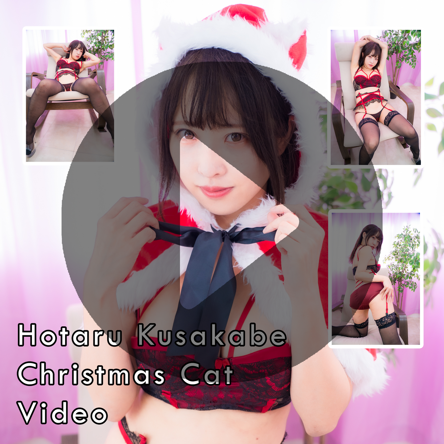 Hotaru Kusakabe Christmas Cat Video (Digital)