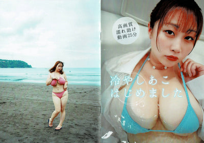 Akopai Gravure booklet and digital video - Introducing Wet Ako